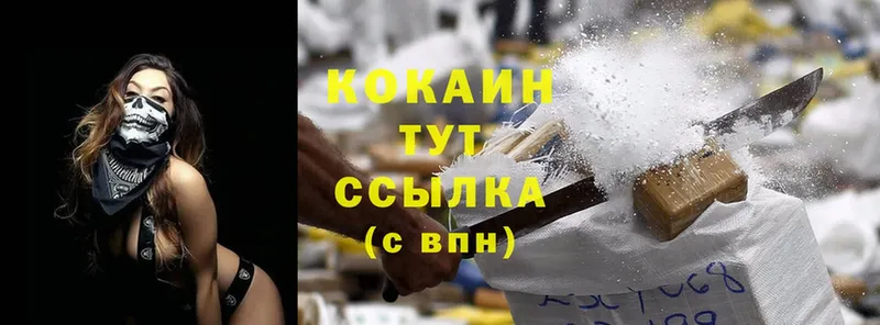 купить закладку  Озёры  Cocaine FishScale 